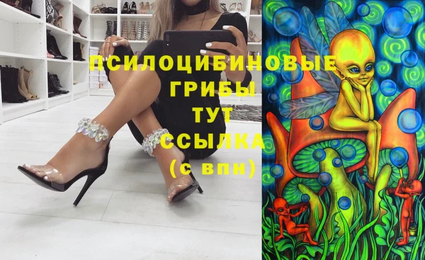 a pvp Армянск