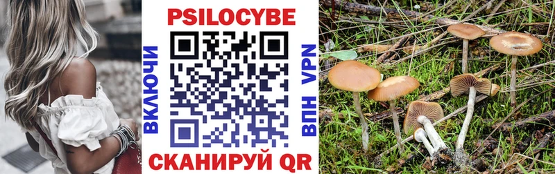 Псилоцибиновые грибы Cubensis  Гуково 